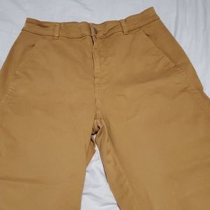 Everlane utility barrel pant in tawny brown